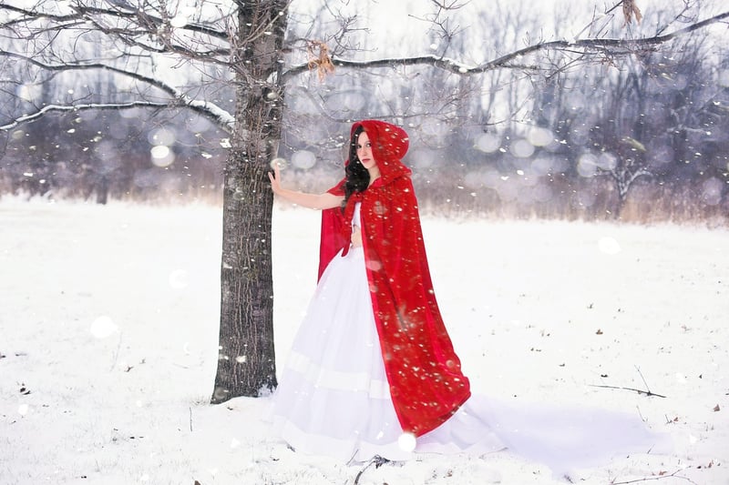 Fairy Tale Storytellers